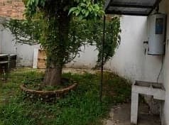 Patio with garden