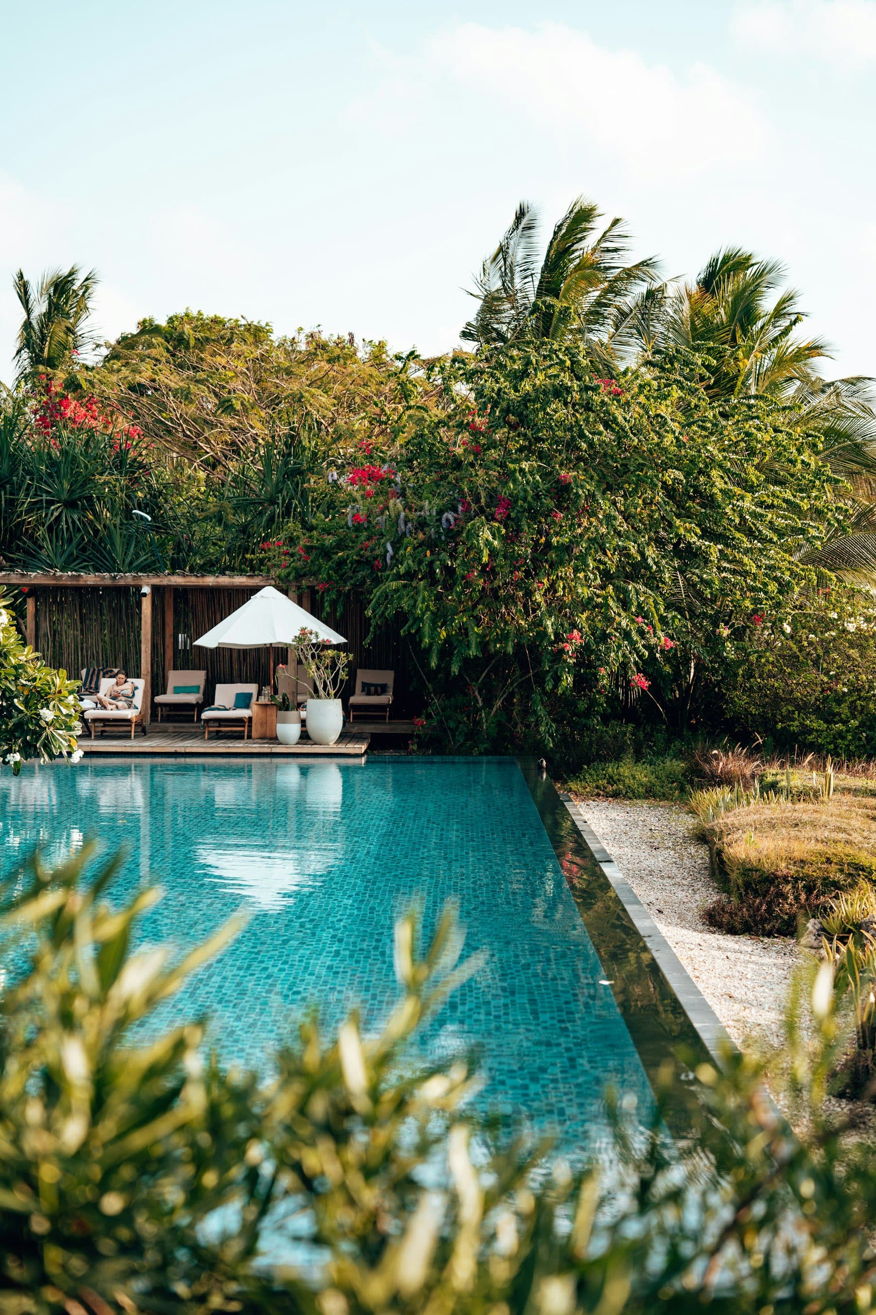 Pool ringed by garden with bougainvillea in bloom
