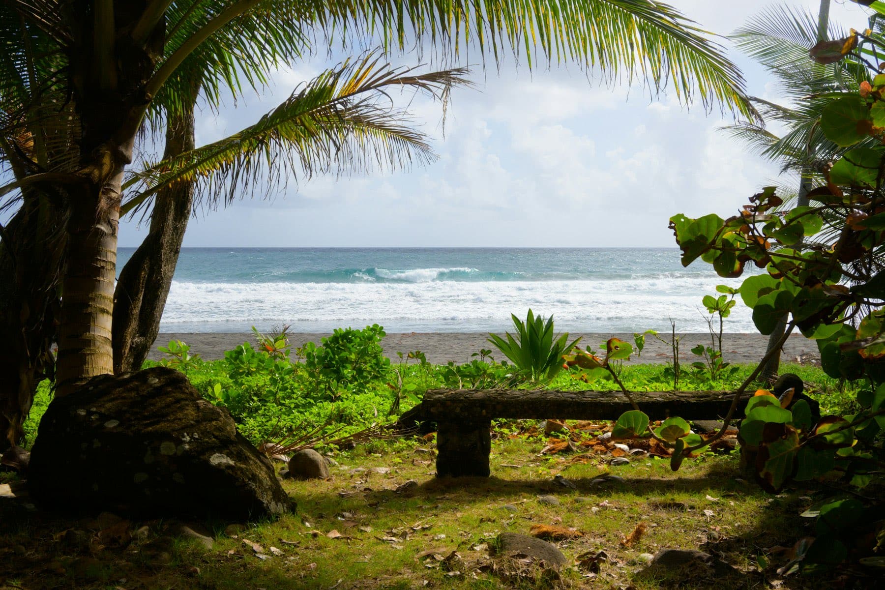Stone bench under palms with the Pacific breaking beyond