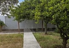 Back garden